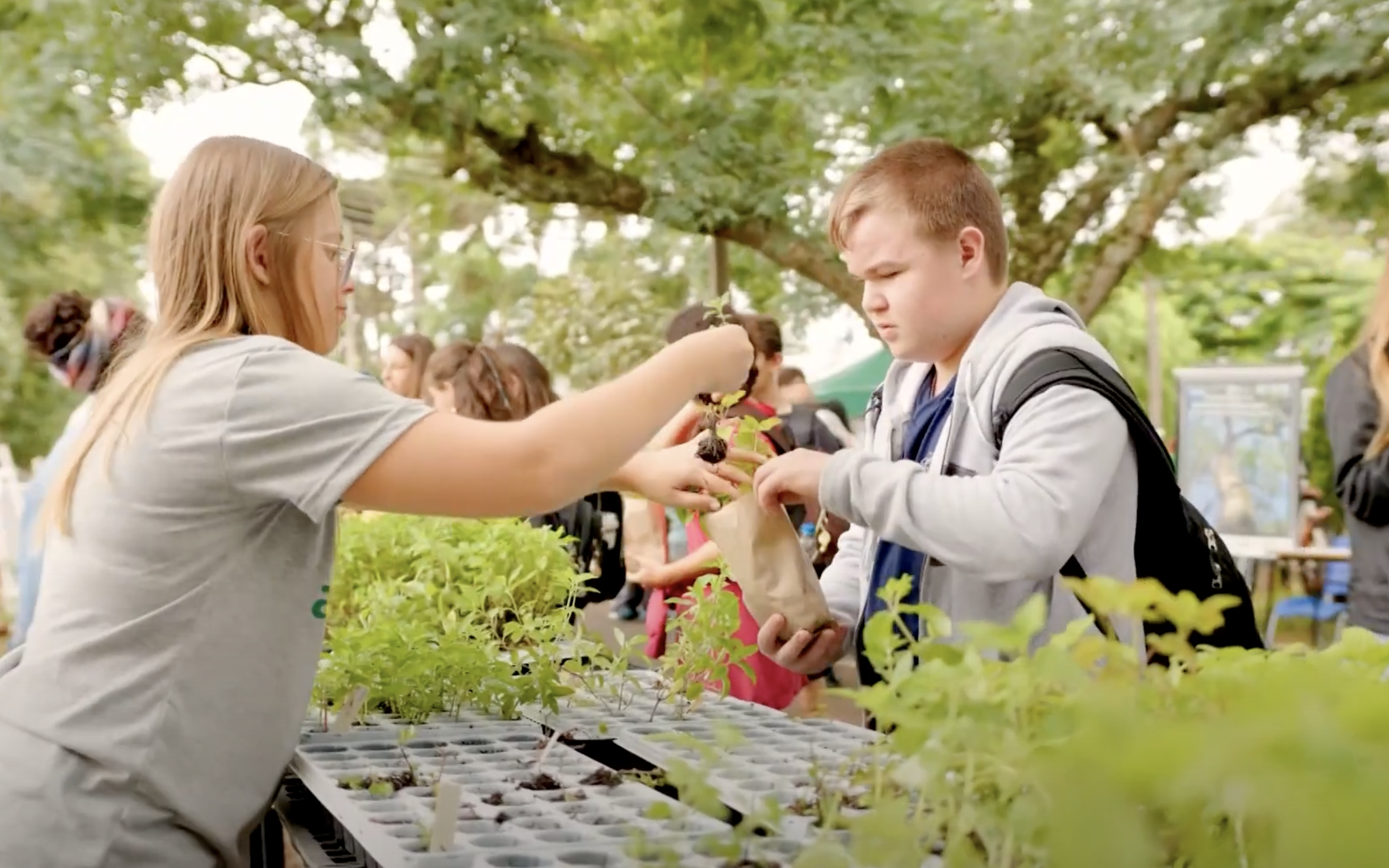 Formação que faz a diferença: especialistas em ESG nas cooperativas do PR